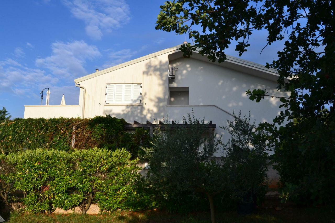 App Segi Apartment Novigrad Istria Exterior foto