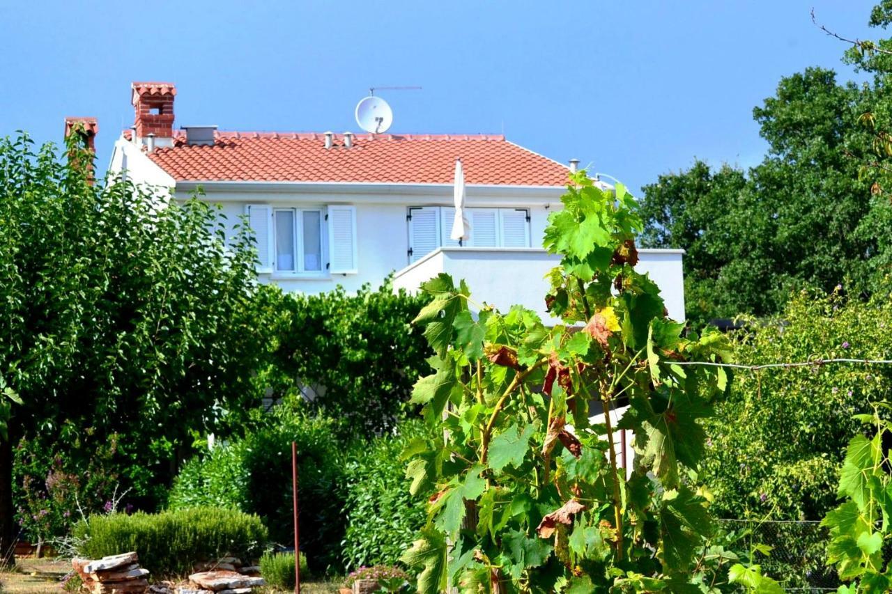 App Segi Apartment Novigrad Istria Exterior foto